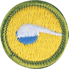 Chemistry merit badge
