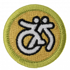 Disabilities awareness merit badge