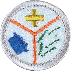 Emergency preparedness merit badge