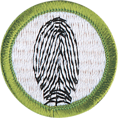 Fingerprinting merit badge