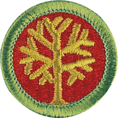 Genealogy merit badge
