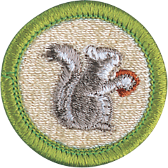 Mammal study merit badge