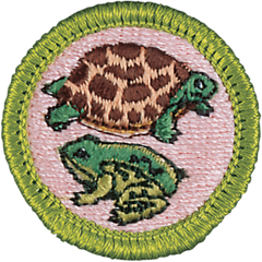 Reptile and Amphibians merit badge